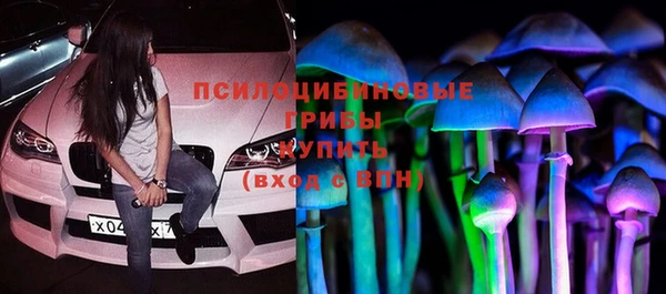 MDMA Богородицк